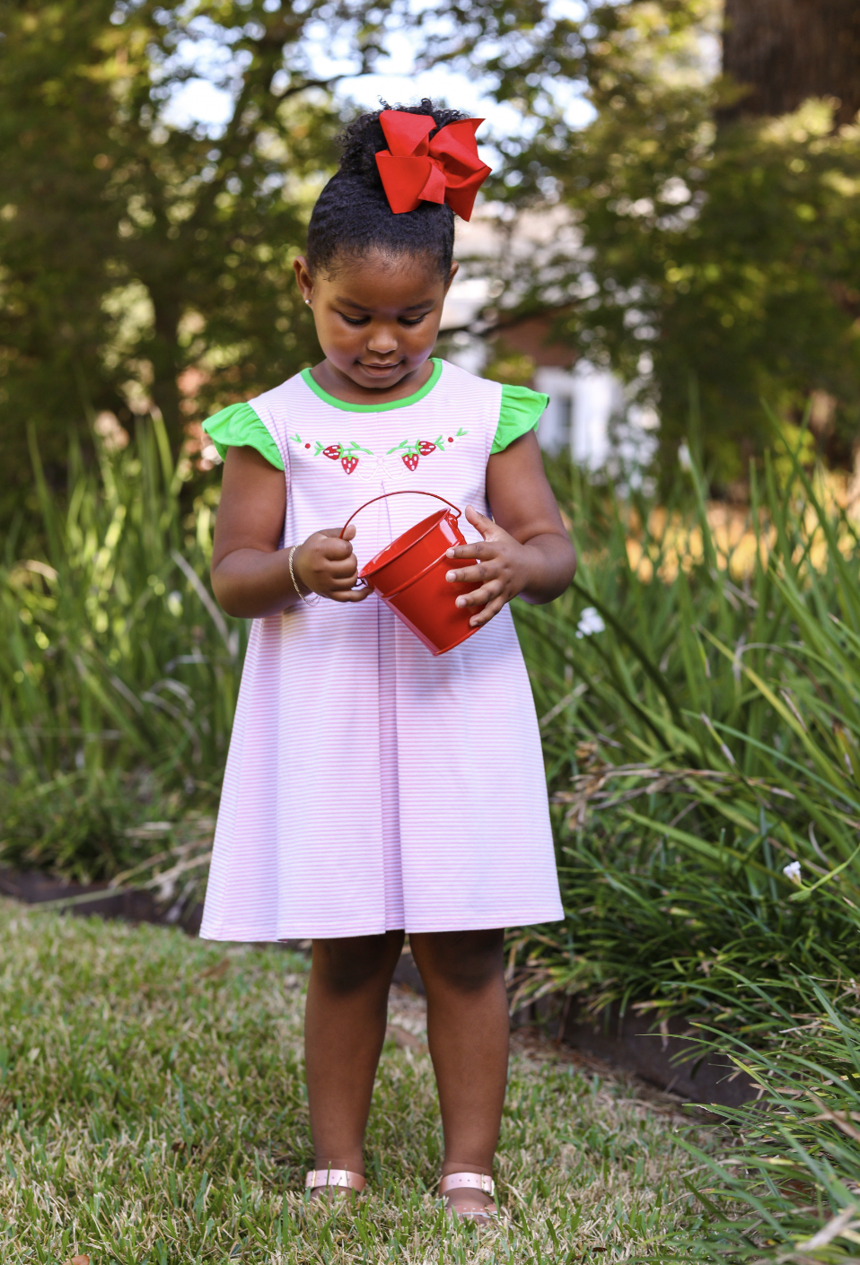 TSK Strawberry Embroidery Dress