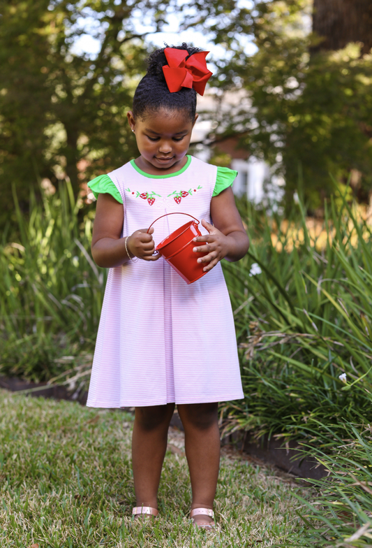 TSK Strawberry Embroidery Dress