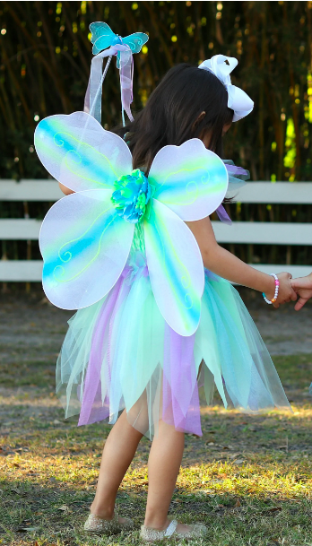 Butterfly Dress & Wings w/Wand Green