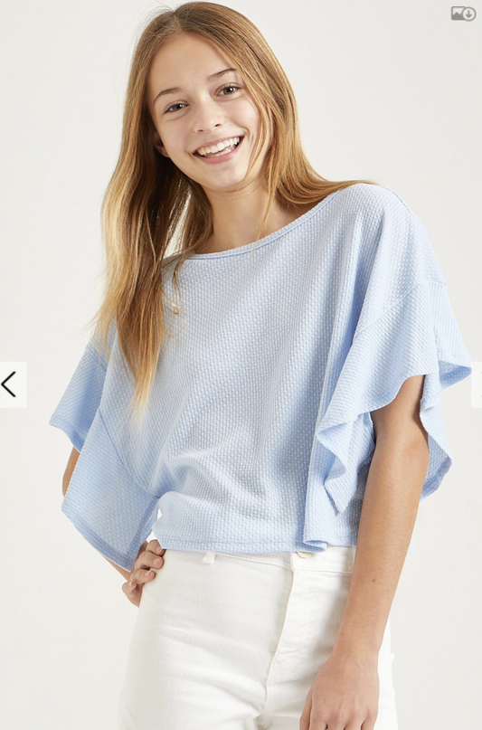 Baby Blue Ruffle Sleeve Loose Fit Crop Top