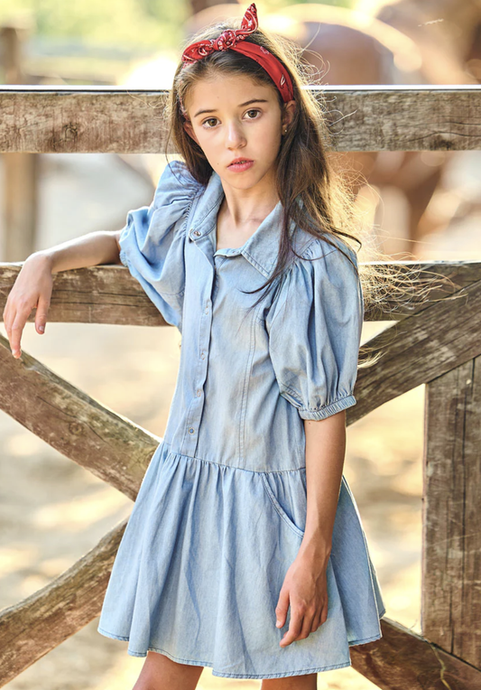 Chambray Blue Dress with Balloon Sleeves