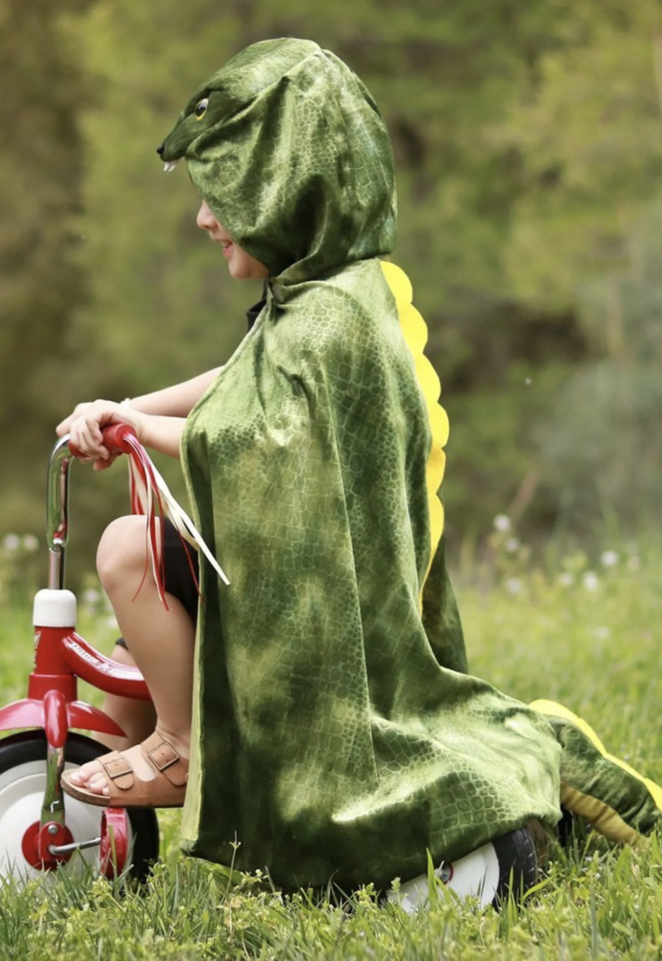 T-Rex Hooded Cape(4/5)