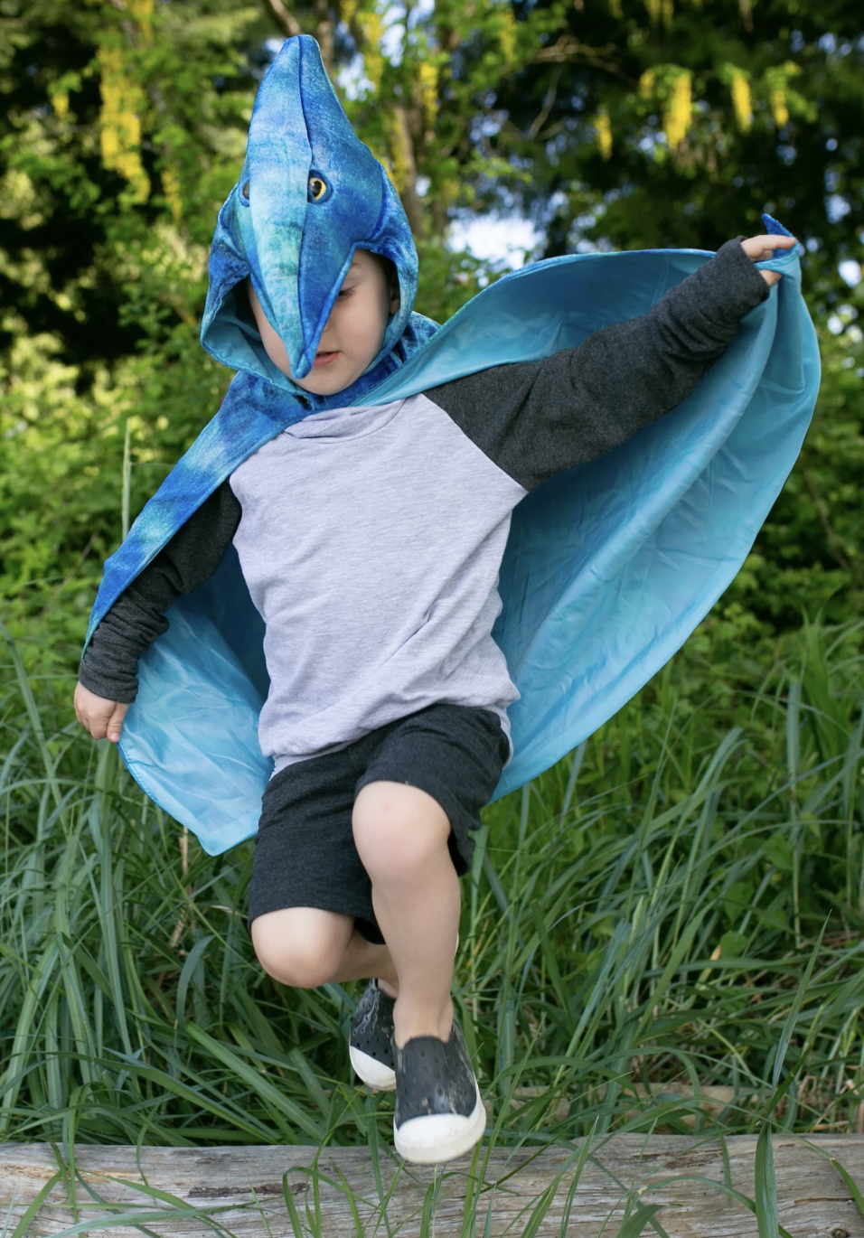 Pterodactyl Hooded Cape (4/5)