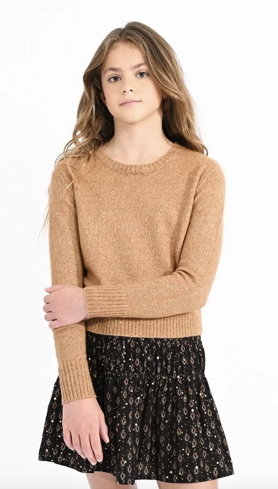 Camel Knit Sweater w/Iridescent Mesh