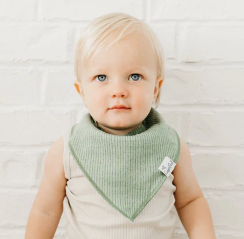 CP Peanut Bandana Bib Set