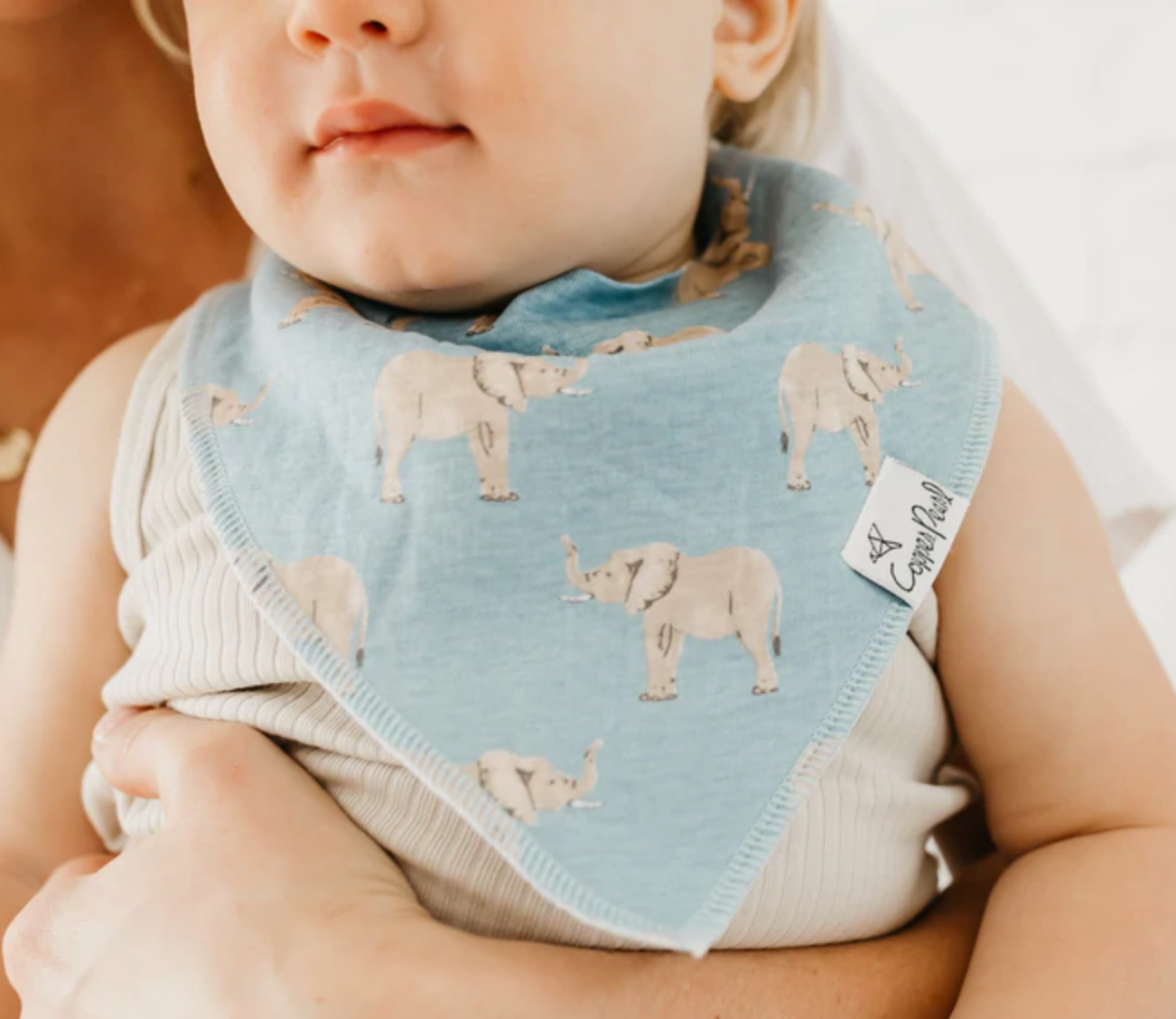 CP Peanut Bandana Bib Set