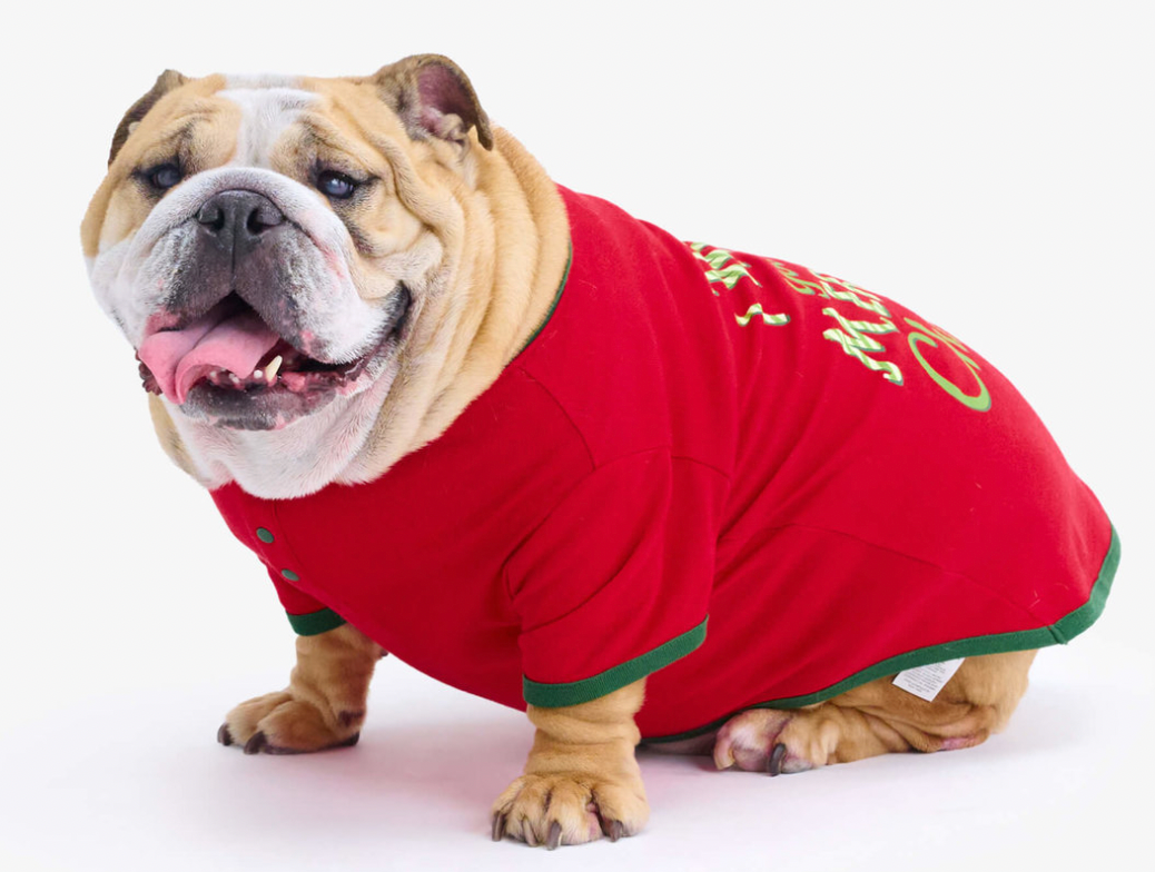 Woofing Christmas Dog Tee