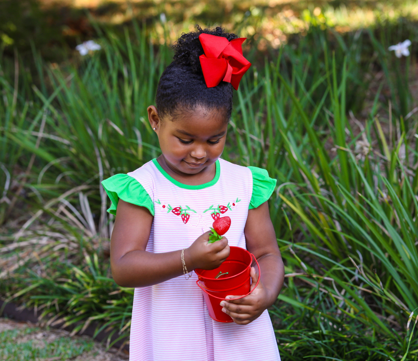 TSK Strawberry Embroidery Dress