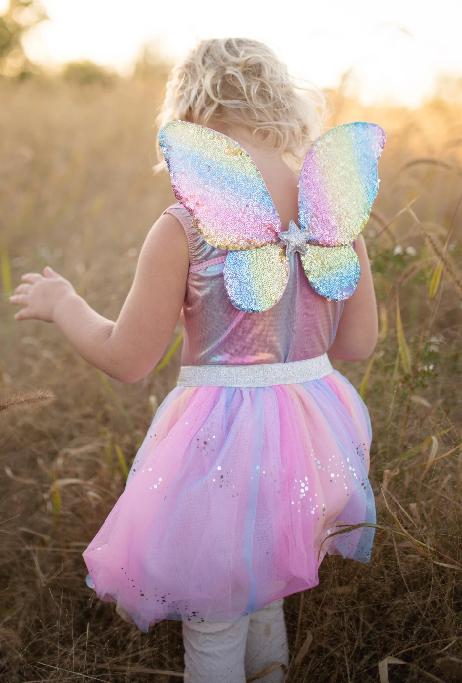 Rainbow Sequins Skirt & Wings