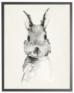 Baby rabbit in grey frame
